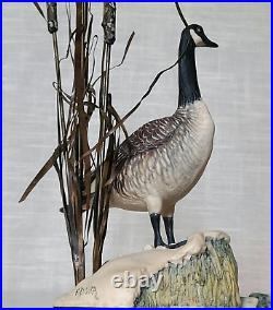 Border Fine Arts Rare'Canada Goose' model No. L47 Limited Edition 484/950