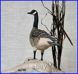 Border Fine Arts Rare'Canada Goose' model No. L47 Limited Edition 484/950