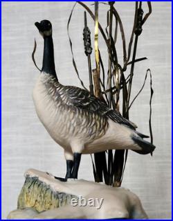 Border Fine Arts Rare Canada Goose model No. L47 Limited Edition 484/950 Border Fine Arts Rare Canada Goose model No. L47 Limited Edition 484/950