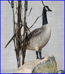 Border Fine Arts Rare Canada Goose model No. L47 Limited Edition 484/950 Border Fine Arts Rare Canada Goose model No. L47 Limited Edition 484/950