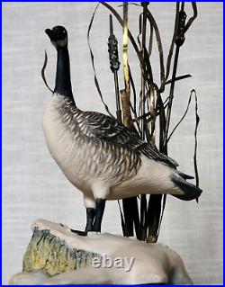 Border Fine Arts Rare'Canada Goose' model No. L47 Limited Edition 484/950