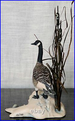 Border Fine Arts Rare'Canada Goose' model No. L47 Limited Edition 484/950