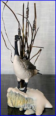 Border Fine Arts Rare'Canada Goose' model No. L47 Limited Edition 484/950