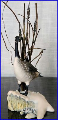 Border Fine Arts Rare Canada Goose model No. L47 Limited Edition 484/950 Border Fine Arts Rare Canada Goose model No. L47 Limited Edition 484/950