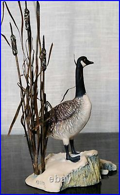 Border Fine Arts Rare'Canada Goose' model No. L47 Limited Edition 484/950