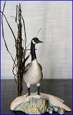 Border Fine Arts Rare'Canada Goose' model No. L47 Limited Edition 484/950