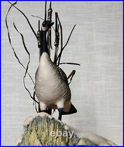 Border Fine Arts Rare'Canada Goose' model No. L47 Limited Edition 484/950