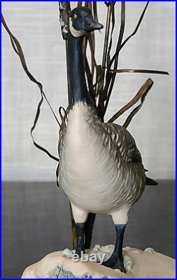 Border Fine Arts Rare'Canada Goose' model No. L47 Limited Edition 484/950