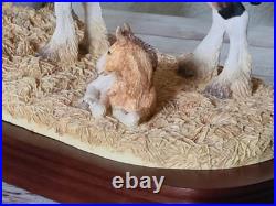 Border Fine Arts Rare Next Generation Ltd Edn Large Tableau B0201 by Anne Wall