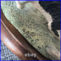 Border Fine Arts Ray Ayres 1981 Suffolk Ewes And Collies Hand Crafted Collectors