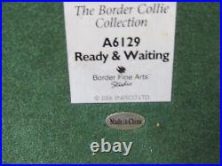 Border Fine Arts Ready and Waiting Border Collies A6129, Been on display, no box