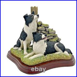 Border Fine Arts'Ready and Waiting' from The Border Collie Collection A6129