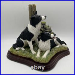 Border Fine Arts'Ready and Waiting' from The Border Collie Collection A6129