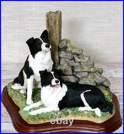 Border Fine Arts'Ready and Waiting' from The Border Collie Collection A6129