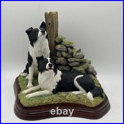 Border Fine Arts'Ready and Waiting' from The Border Collie Collection A6129