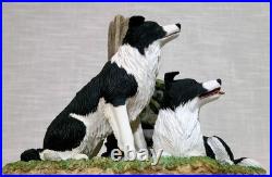 Border Fine Arts'Ready and Waiting' from The Border Collie Collection A6129
