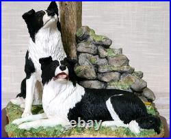 Border Fine Arts'Ready and Waiting' from The Border Collie Collection A6129