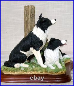 Border Fine Arts'Ready and Waiting' from The Border Collie Collection A6129
