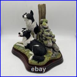 Border Fine Arts'Ready and Waiting' from The Border Collie Collection A6129