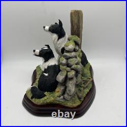 Border Fine Arts'Ready and Waiting' from The Border Collie Collection A6129