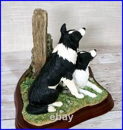 Border Fine Arts'Ready and Waiting' from The Border Collie Collection A6129