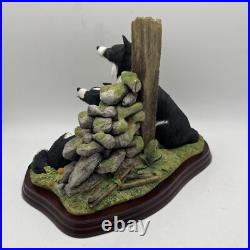 Border Fine Arts'Ready and Waiting' from The Border Collie Collection A6129