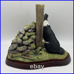 Border Fine Arts'Ready and Waiting' from The Border Collie Collection A6129