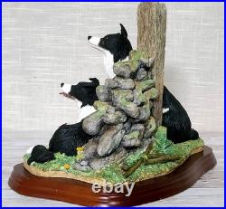 Border Fine Arts'Ready and Waiting' from The Border Collie Collection A6129