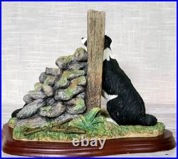 Border Fine Arts'Ready and Waiting' from The Border Collie Collection A6129