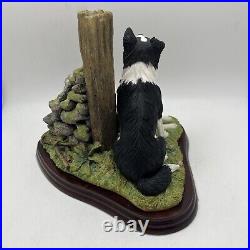 Border Fine Arts'Ready and Waiting' from The Border Collie Collection A6129