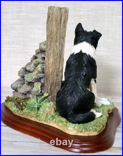 Border Fine Arts'Ready and Waiting' from The Border Collie Collection A6129