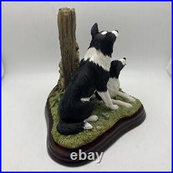 Border Fine Arts'Ready and Waiting' from The Border Collie Collection A6129