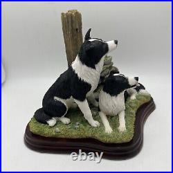 Border Fine Arts'Ready and Waiting' from The Border Collie Collection A6129