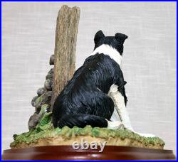 Border Fine Arts'Ready and Waiting' from The Border Collie Collection A6129