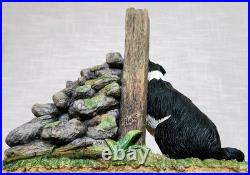 Border Fine Arts'Ready and Waiting' from The Border Collie Collection A6129