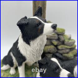 Border Fine Arts'Ready and Waiting' from The Border Collie Collection A6129