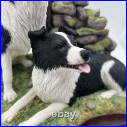 Border Fine Arts'Ready and Waiting' from The Border Collie Collection A6129