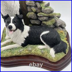 Border Fine Arts'Ready and Waiting' from The Border Collie Collection A6129