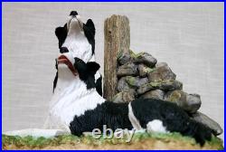 Border Fine Arts'Ready and Waiting' from The Border Collie Collection A6129
