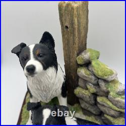 Border Fine Arts'Ready and Waiting' from The Border Collie Collection A6129