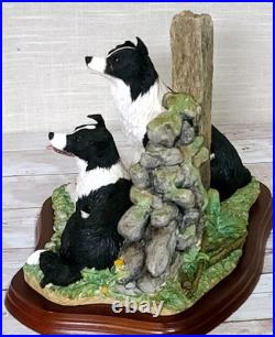 Border Fine Arts'Ready and Waiting' from The Border Collie Collection A6129