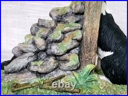 Border Fine Arts'Ready and Waiting' from The Border Collie Collection A6129