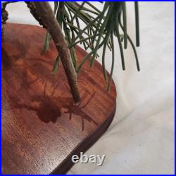 Border Fine Arts Red Squirrel & Goldcrests RJ Ayres B0862 43/500