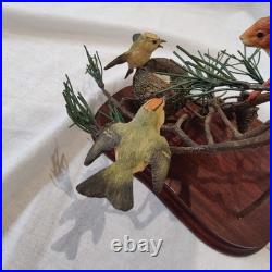 Border Fine Arts Red Squirrel & Goldcrests RJ Ayres B0862 43/500