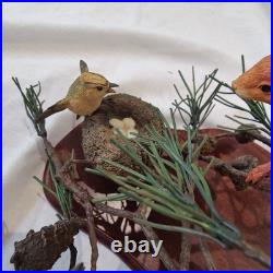 Border Fine Arts Red Squirrel & Goldcrests RJ Ayres B0862 43/500