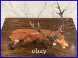 Border Fine Arts Red Stag A5270 Boxed 26cm W x 21cmH