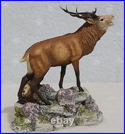 Border Fine Arts Red Stag Standing on Rocks Modelled by David Walton no. 151