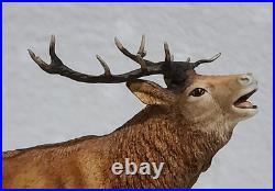 Border Fine Arts Red Stag Standing on Rocks Modelled by David Walton no. 151