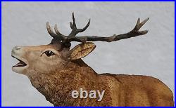 Border Fine Arts Red Stag Standing on Rocks Modelled by David Walton no. 151