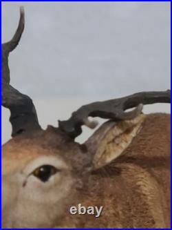 Border Fine Arts Red Stag Standing on Rocks Modelled by David Walton no. 151